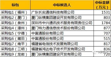 本地守護者崛起 福建鐵塔8590萬基站代維項目中標透視